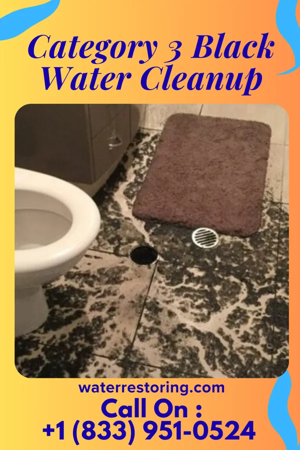 Category 3 Black Water Cleanup in Finklea, SC