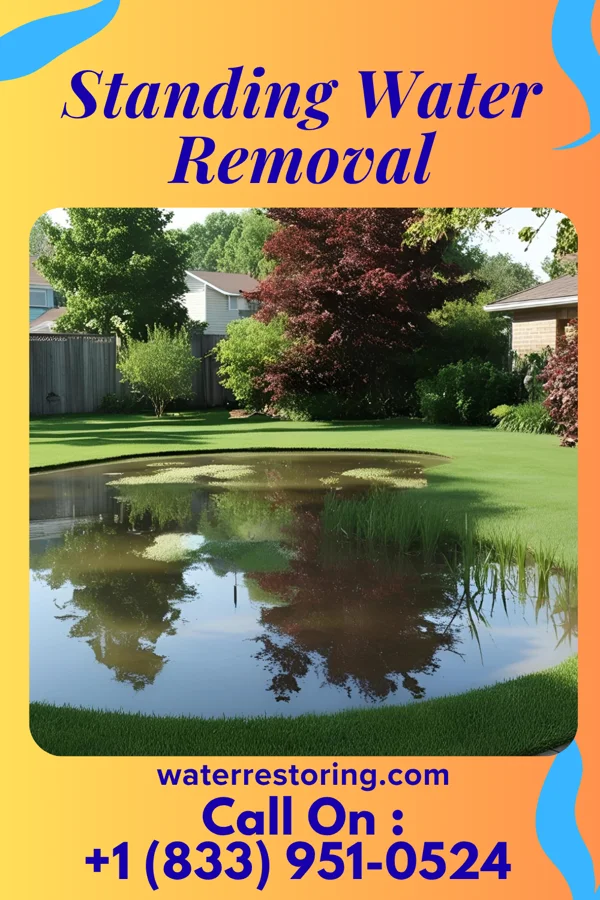 Standing Water Removal in Finklea, SC